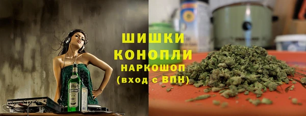 МДПВ Горнозаводск