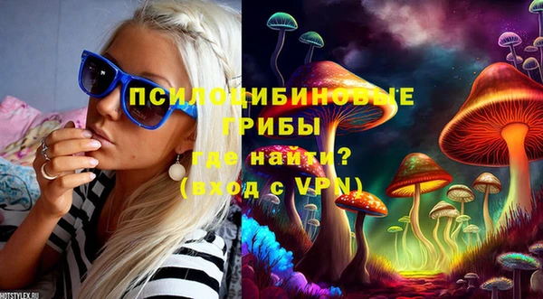 тгк Горняк