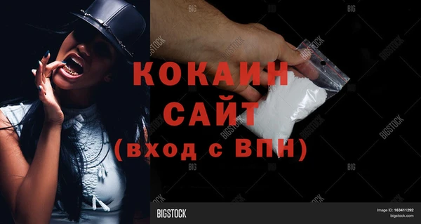 PSILOCYBIN Гусиноозёрск