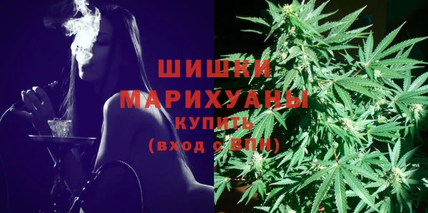 МДПВ Горнозаводск