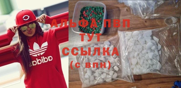 PSILOCYBIN Гусиноозёрск