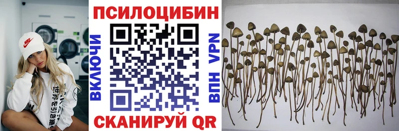 Псилоцибиновые грибы Psilocybe  Златоуст 